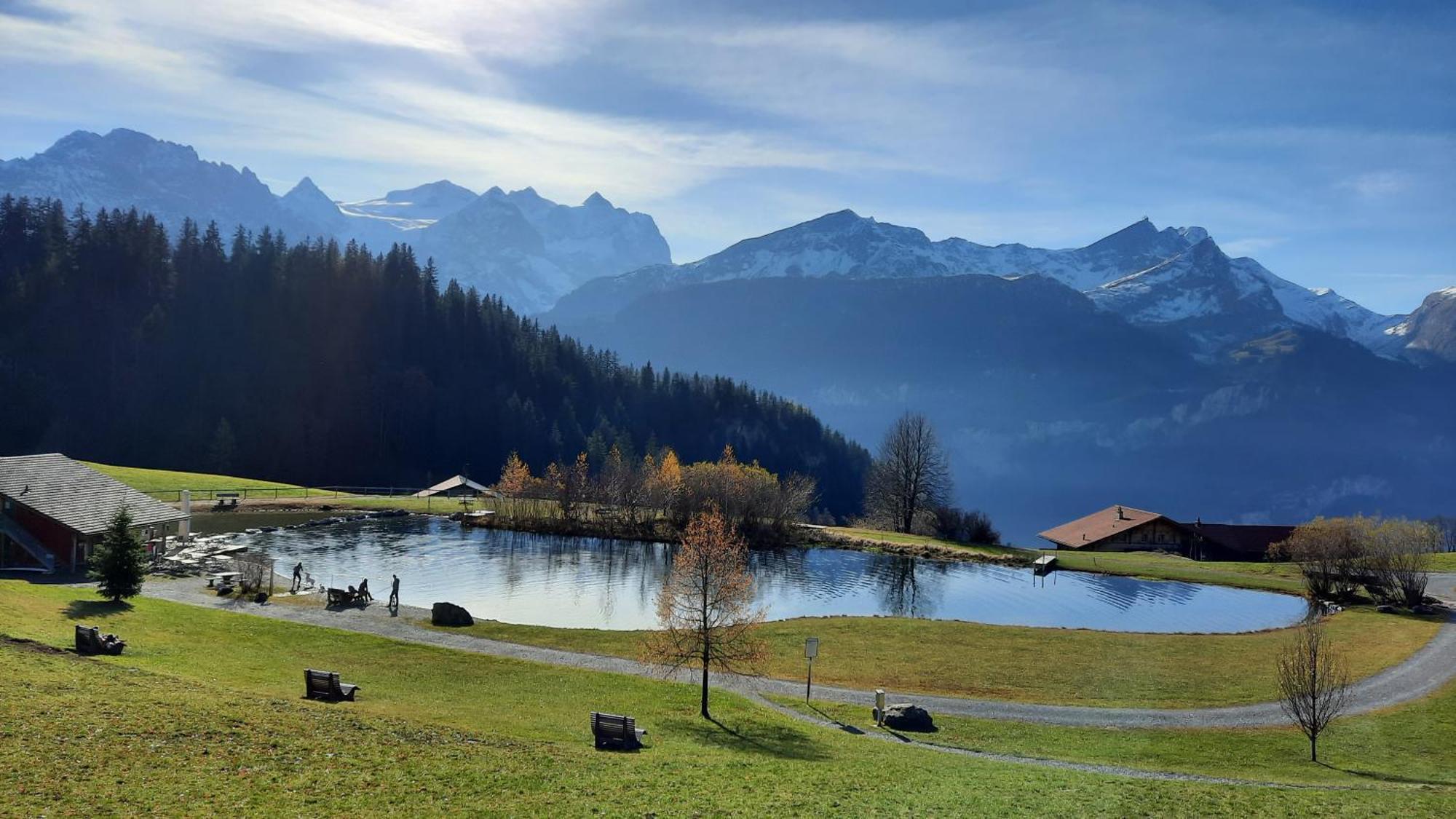 Chalet Blatti Hasliberg Room photo