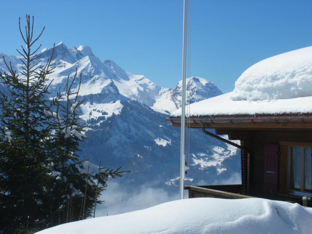 Chalet Blatti Hasliberg Exterior photo